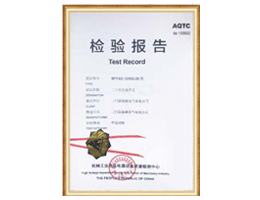 檢驗(yàn)報(bào)告